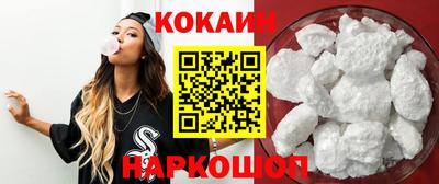 индика Камышлов