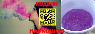 индика Камышлов