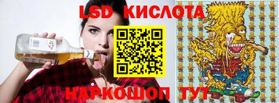 индика Камышлов