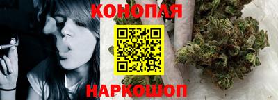 индика Камышлов