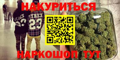 индика Камышлов