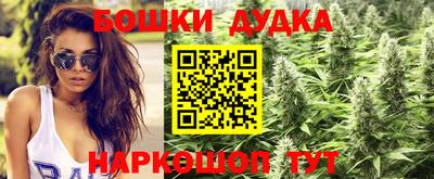 индика Камышлов