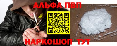 индика Камышлов