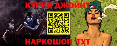 индика Камышлов