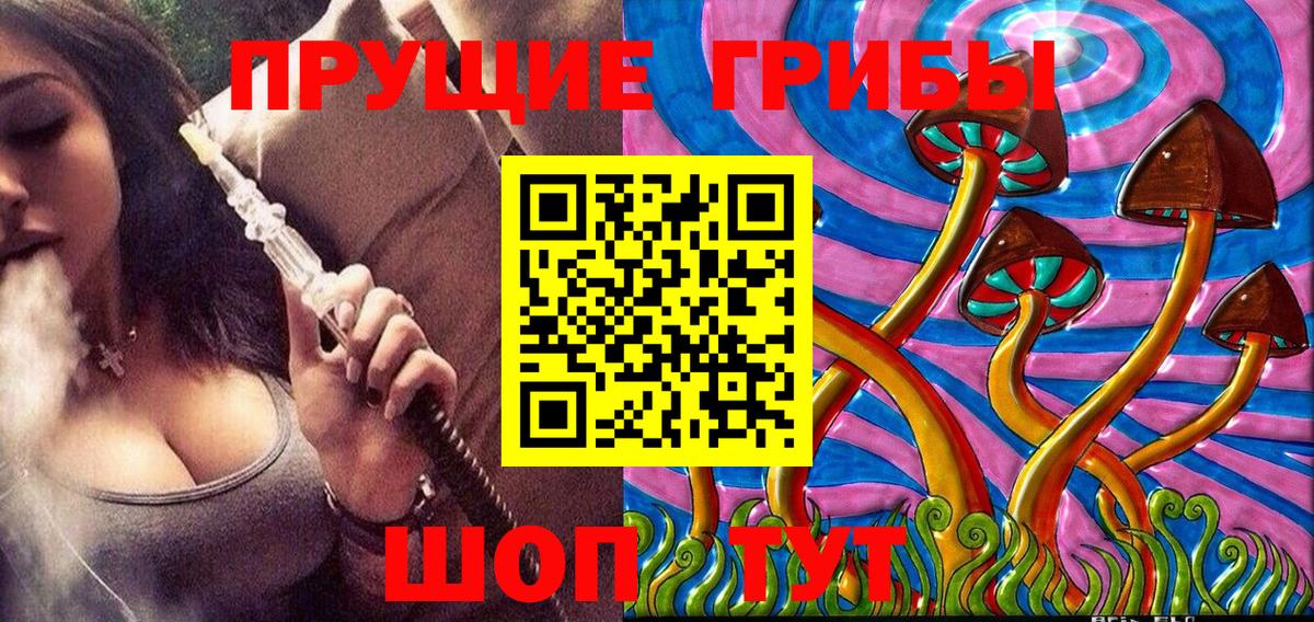 Галлюциногенные грибы Psilocybine cubensis  Вход с VPN  Люберцы 